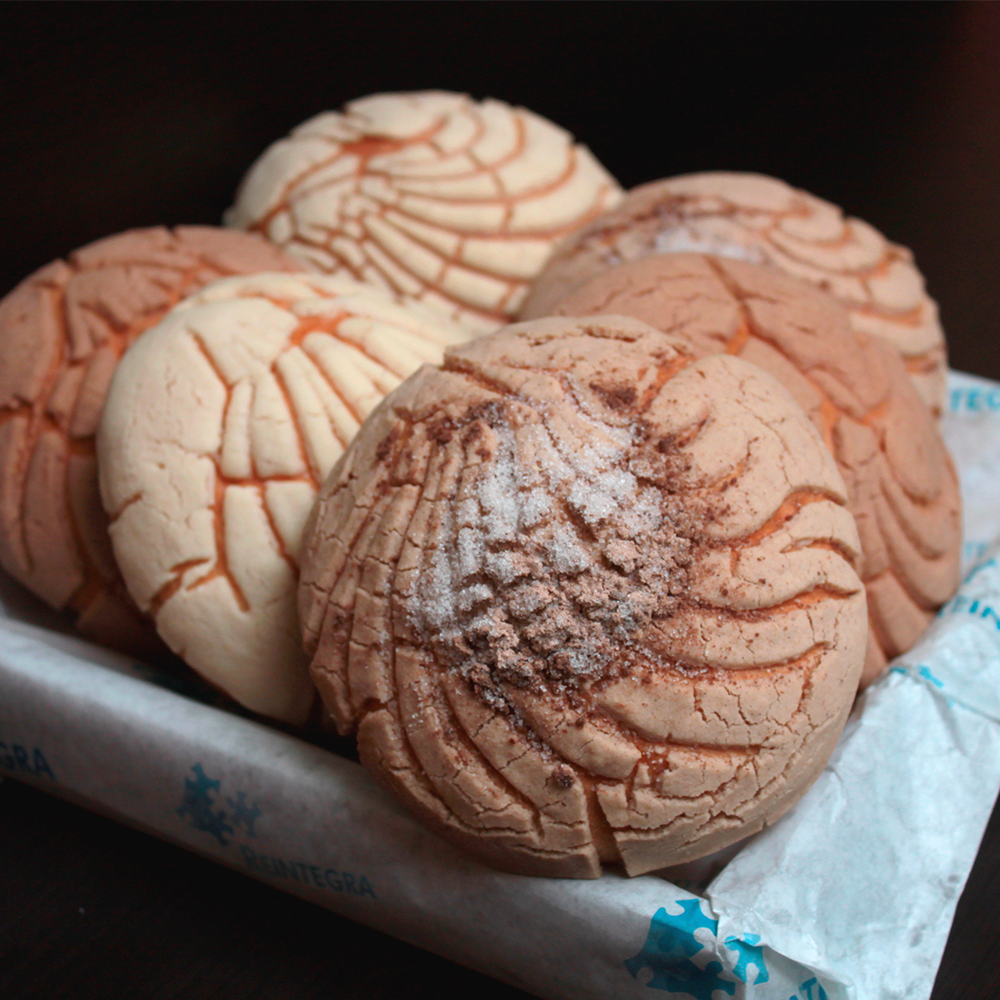 paquete_conchas_reintegra